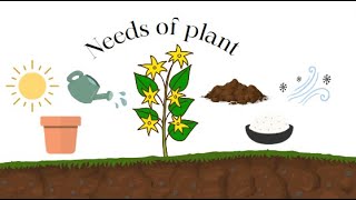 Needs of a plant for kids Needs of a plant to grow Kids educational video KG Science [upl. by Ykcaj]