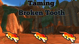 How To Tame Broken Tooth Classic World Of Warcraft Guides [upl. by Llecrep796]