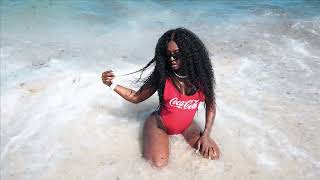 Blaquee Diamond  Summer In Miami  Official Video [upl. by Leesen605]