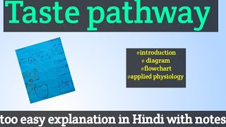 Taste pathway physiology of taste pathway physiology [upl. by Vedetta877]