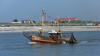 Impressionen von Norderney [upl. by Llenyar]