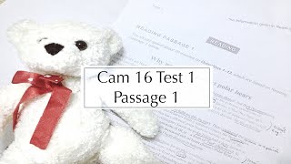 Phân tích bài đọc IELTS Reading Cambridge 16 Test 1 Passage 1  WHY WE NEED TO PROTECT POLAR BEARS [upl. by Busch289]