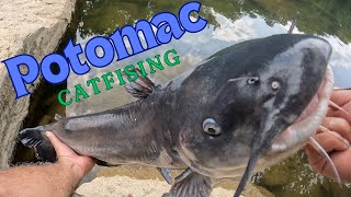 Potomac Catfishing [upl. by Eirod]