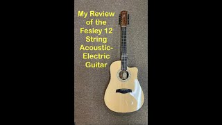 My Review of the Fesley 12 String AcousticElectric Guitar [upl. by Jedediah]