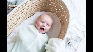 Joey Pod Transitional Swaddle Bag Demonstration Video [upl. by Severin]