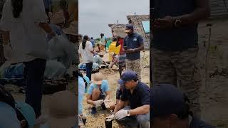 Mangrove Nursery Preparation work by Mphasis volunteers in Pulicat [upl. by Muhcan64]