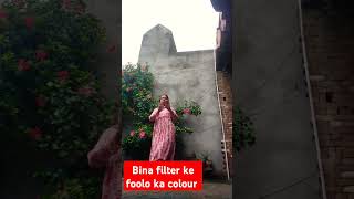 Hamre piyawa chalawa dijal gadiya dance  bhojpuri  song official Monika 🤗 [upl. by Oilerua]