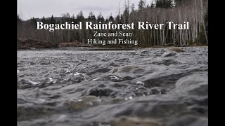 Upper Bogachiel Steelhead Fishing [upl. by Jamill]