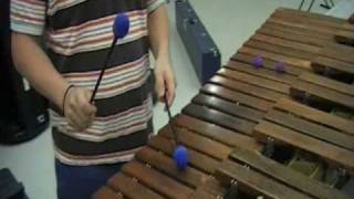 Through the Fire and Flames Marimba SCHS Band [upl. by Klug]