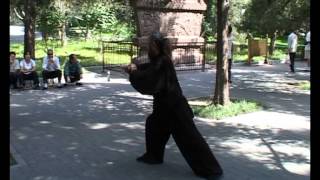 Yang Jian Hou Tai Chi Chuan Master Zhangs demonstration for Master Jin [upl. by Peppy667]