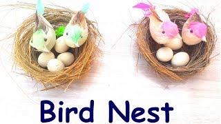 How to make a Bird Nest l Easy DIY Projects [upl. by Akinek]