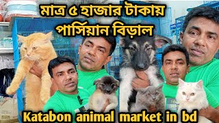 Katabon animal market in bangladeshGerman Shepherd Lhasa Apso Persian Cat Dog and cat price 2023 [upl. by Medea291]