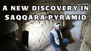 Egypt announces new archaeological discoveries in Saqqara [upl. by Notsle339]