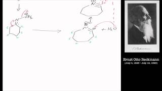 The Beckmann rearrangement Reaction mechanism chemistry tutorial [upl. by Onin]