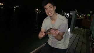 Fishing the Mooloolaba River Sunshine Coast Romantic getaway turned fishing trip [upl. by Orwin]