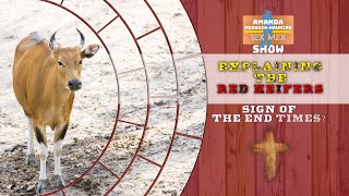 Ep46 Amanda MendozaHawkins Show Explaining the Red Heifers [upl. by Anaehr]