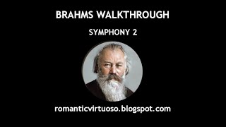 JOHANNES BRAHMS  SYMPHONY 2 full analysis [upl. by Hafeetal]