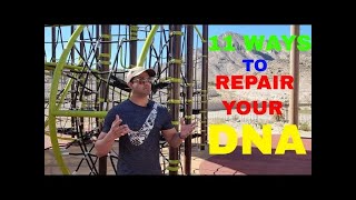 11 WAYS TO REPAIR YOUR DNA अपने DNA को शक्तिशाली बनाइए dnarepair dnaaansul888 [upl. by Eitsyrc]