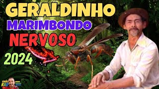 Geraldinho o caso do marimbondo 2024 [upl. by Welsh]