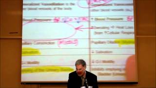 AUTONOMIC DRUGS PART 1 Parasympathetic Agonists amp Blockers by Professor Fink [upl. by Irmgard674]