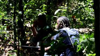 Whistleing the Agouti a method of hunting Trinidad amp Tobago [upl. by Llyrpa]