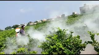 Stihl SR 450 Mist blower powder and liquid sprayer Ganesh agencies Tirupati 7013279964 [upl. by Nuawed]