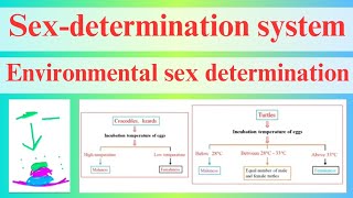 Environmental determination of sex Nongenetic determination of sex [upl. by Aralk]