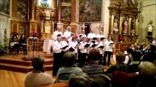 CAMPANITAS DE NAVIDAD  Coro de Espronceda Navarra  2015 [upl. by Amlas]