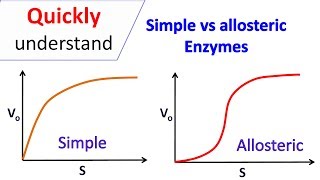 Simple enzymes vs Allosteric enzymes [upl. by Butta]