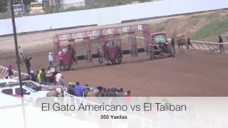 GATO AMERICANO VS TALIVAN [upl. by Ybrek]