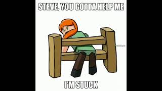 steve help me im stuck [upl. by Inaffets]