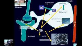 Pathophysiology of liver  part2 [upl. by Boru400]