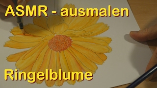 ASMR Ringelblume ausmalen mit Oma Tana  Sanfte Stimme [upl. by Lenora266]