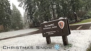 Christmas Snow in Washington Exploring the Port Angeles Fine Arts Center [upl. by Hahsi598]