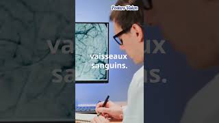 AVC Les Facteurs de risque de lAccident Vasculaire Cérébral AVC neurologie cardiologie [upl. by Drofnelg428]