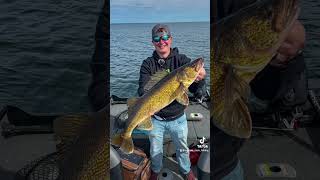 Wisconsin walleye opener fishing walleye wisconsin [upl. by Adnocahs273]