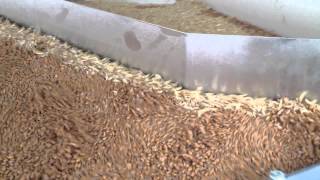 Cimbria Heid Gravity Separator in Wheat 2 [upl. by Reyna]