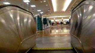 Haughton Escalators in Macys  Willowbrook [upl. by Oznol]