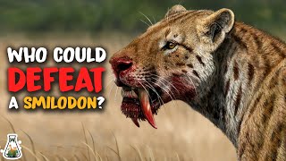 6 Animals That Could Have Killed a Smilodon [upl. by Hearsh825]