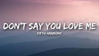 Fifth Harmony  Dont Say You Love Me Lyrics  Lyrics Video [upl. by Aicilyhp]