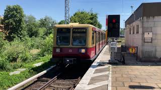 SBahn Berlin  Der Bahnhof Greifswalder Straße [upl. by Elwee]