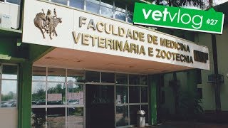 TÉCNICO VETERINÁRIO O QUE FAZ [upl. by Ardelia]