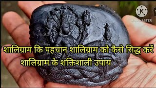 असली शालिग्रामशालिग्राम कि पुजा कैसे करेंशालिग्राम Real Shaligram Shaligram Stone 9991551501 [upl. by Euqitsym522]