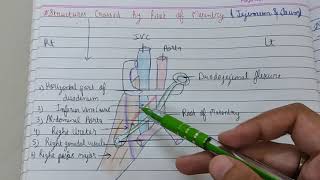 Structures Crossed By Root of Mesentery Anatomy [upl. by Ainehs184]