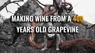 Documentary Reviving Georgias Lost Wine Region Meskheti [upl. by Eldwen428]