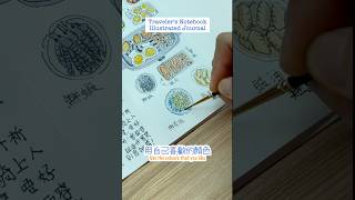 用自己喜歡的顏色 TN S15 手繪 手帳 速寫 線稿 水彩 travelersnotebook [upl. by Ecyoj]