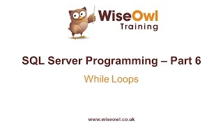 SQL Server Programming Part 6  WHILE Loops [upl. by Nauqaj]