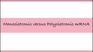 Difference between Monocistronic and Polycistronic mRNA  Biology Diaries biology biologyclass12 [upl. by Kalvn925]