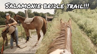 HORSEBACK RIDING AT SALAMONIE RESERVOIR  gopro hero 8 [upl. by Moyer49]