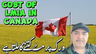 Cost of LMIA or Work Permit in Canada🇨🇦💵lmia workpermitvisa [upl. by Bow]